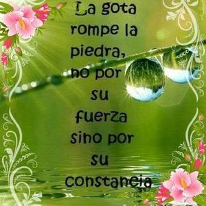 Meet your Posher, Aurora